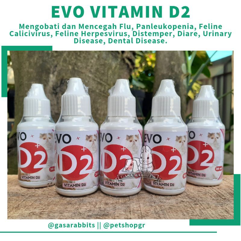 VITAMIN D2 KUCING - VITAMIN KUCING D2 - EVO D2 - EVO VITAMIN D2 - VITAMIN D2 EVO - VITAMIN KUCING