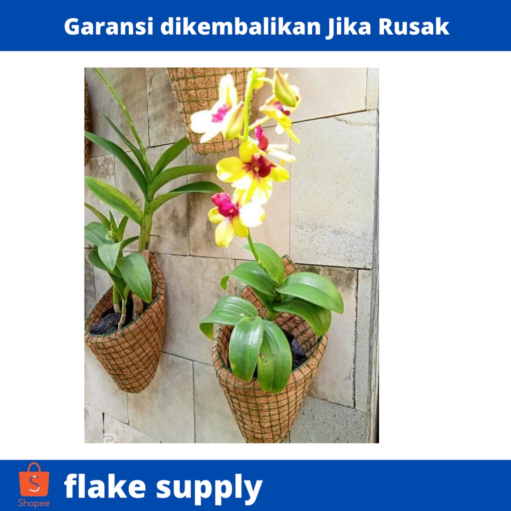 pot kerucut sabut kelapa pot tempel anggrek pot untuk tanaman anggrek pot sabut kelapa murah