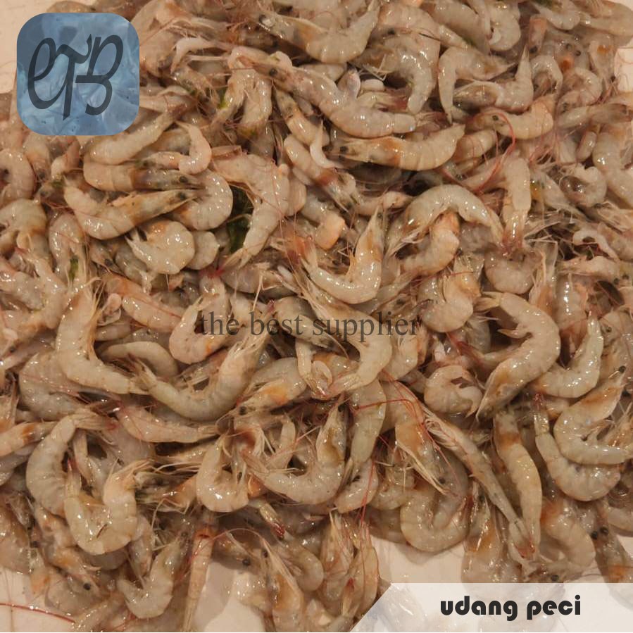 

Udang Peci Segar Premium