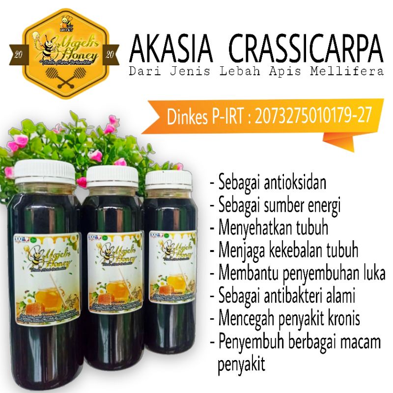 

Madu Murni Majelis Honey 330gr Nektar Acasia Crassicarpa Lebah Apis Mellifera