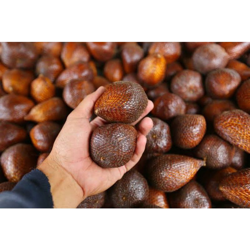 

buah salak segar super jumbo 1kg