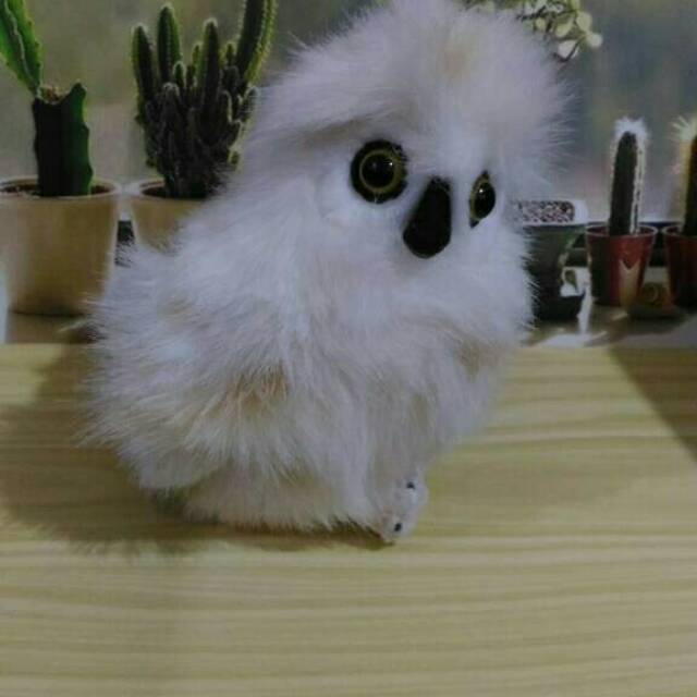 Boneka Burung Hantu Owl Shopee Indonesia