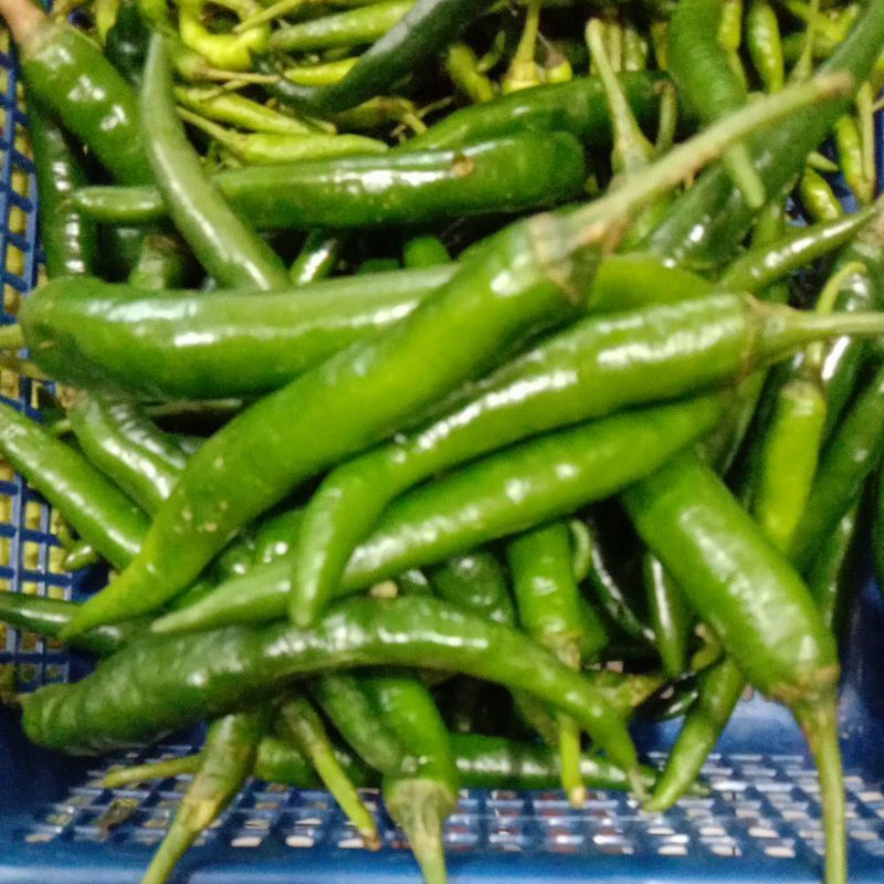 

cabe ijo besar1kg