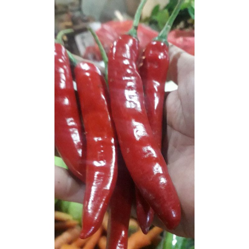 Cabe merah gede/250grm