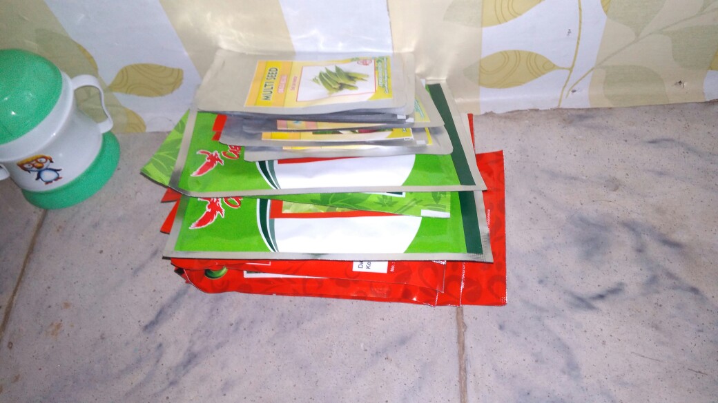 Isi 100 Gram Bibit Kacang Panjang Branjangan | Benih Kacang Panjang Tahan Virus | Bibit Sayuran