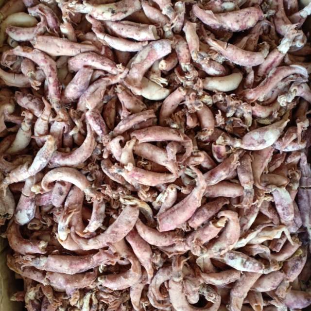 

Ikan Asin Cumi Telur