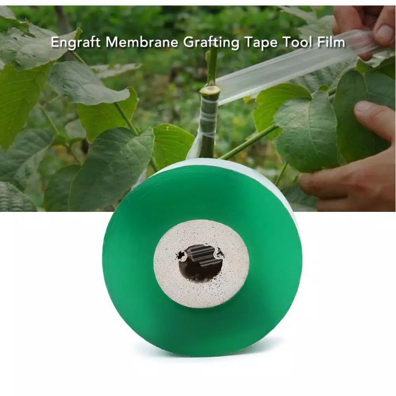 Parafilm Plastik Perekat Grafting Tape Okulasi Tanaman Tempel 3CM