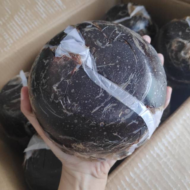 

Gula batok asli