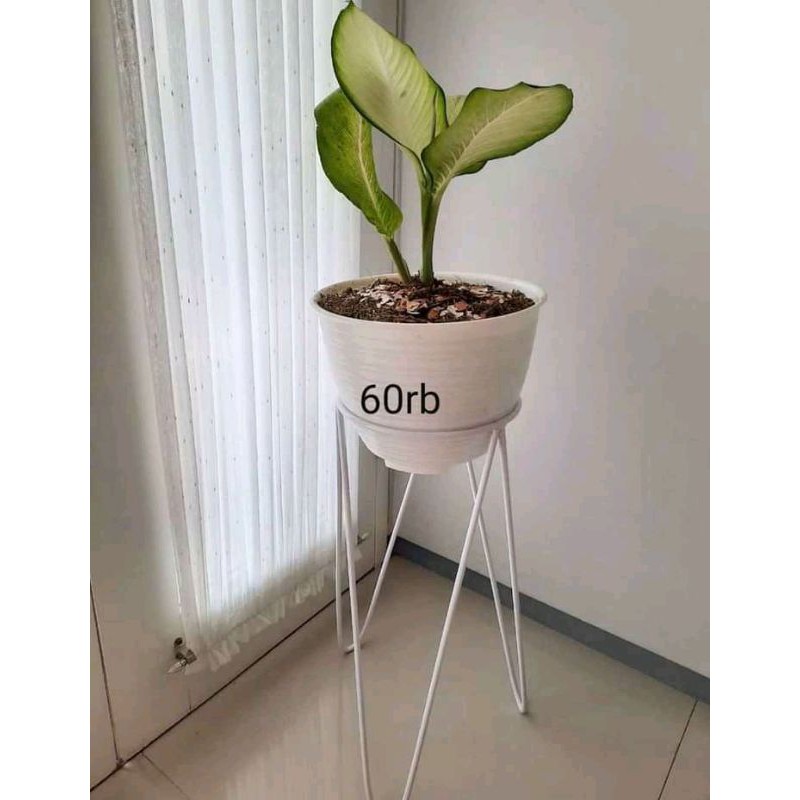 rak bunga besi bisa COD tinggi 50 cm