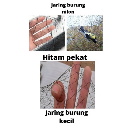 Jaring burung kecil jaring burung nilon pikat burung jebakan burung jaring burung emprit burung