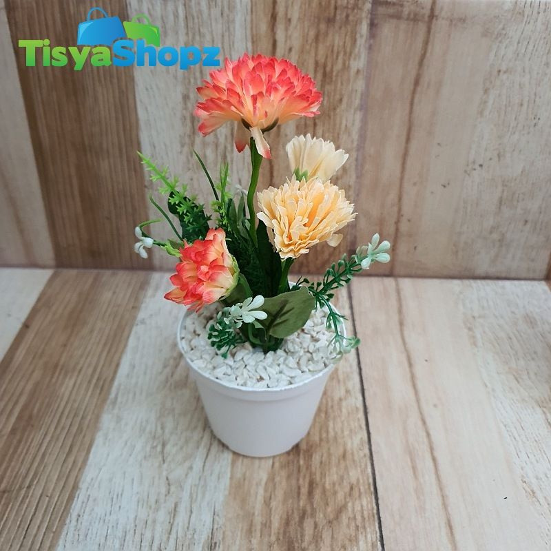 Bunga Pompom Bombay + Pot