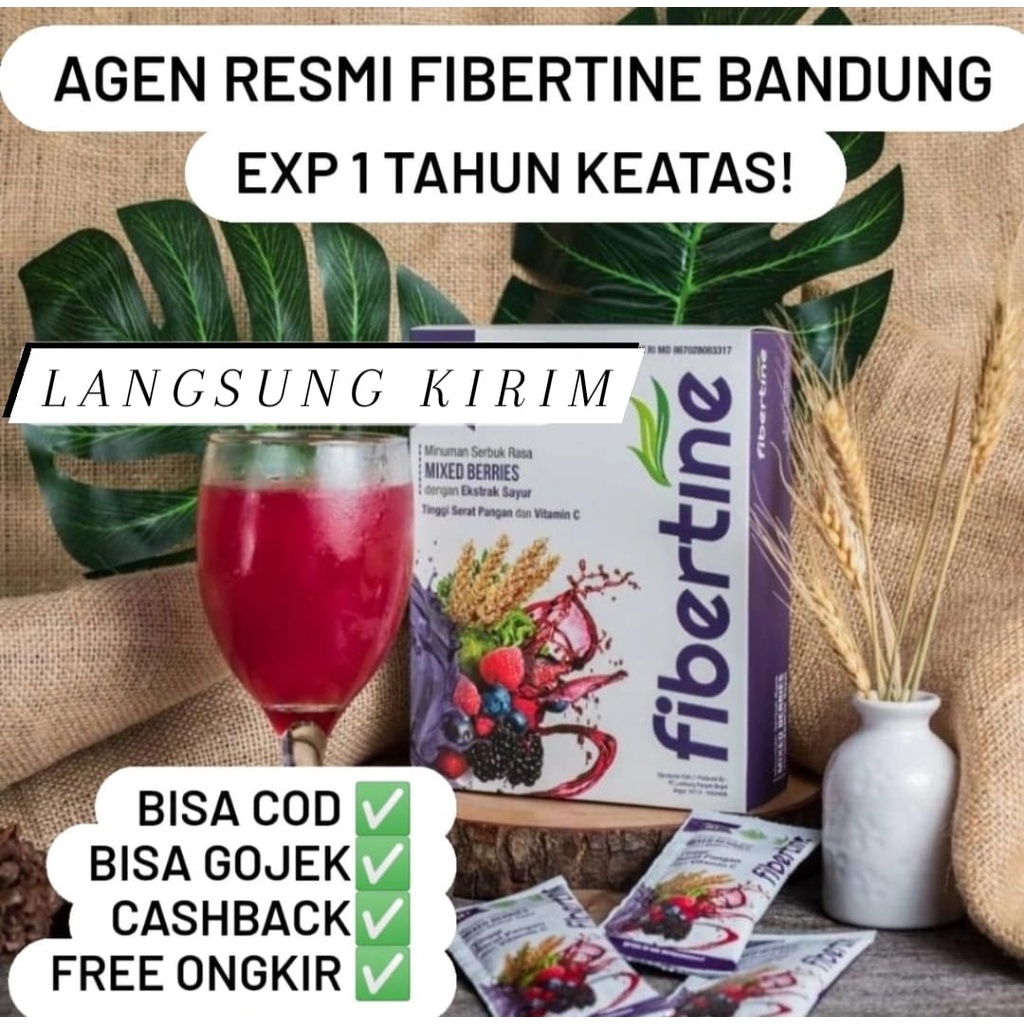 FIBERTINE Minuman Diet Dan collagen Fiber Tine