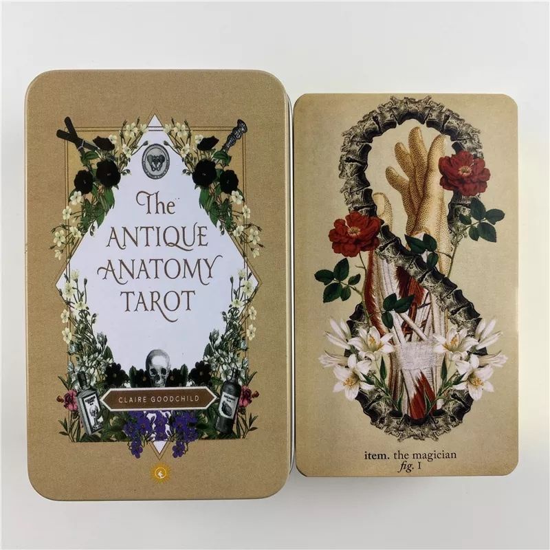 The Antique Anatomy Tarot 9.8x5.7cm kemasan kaleng include guide paper