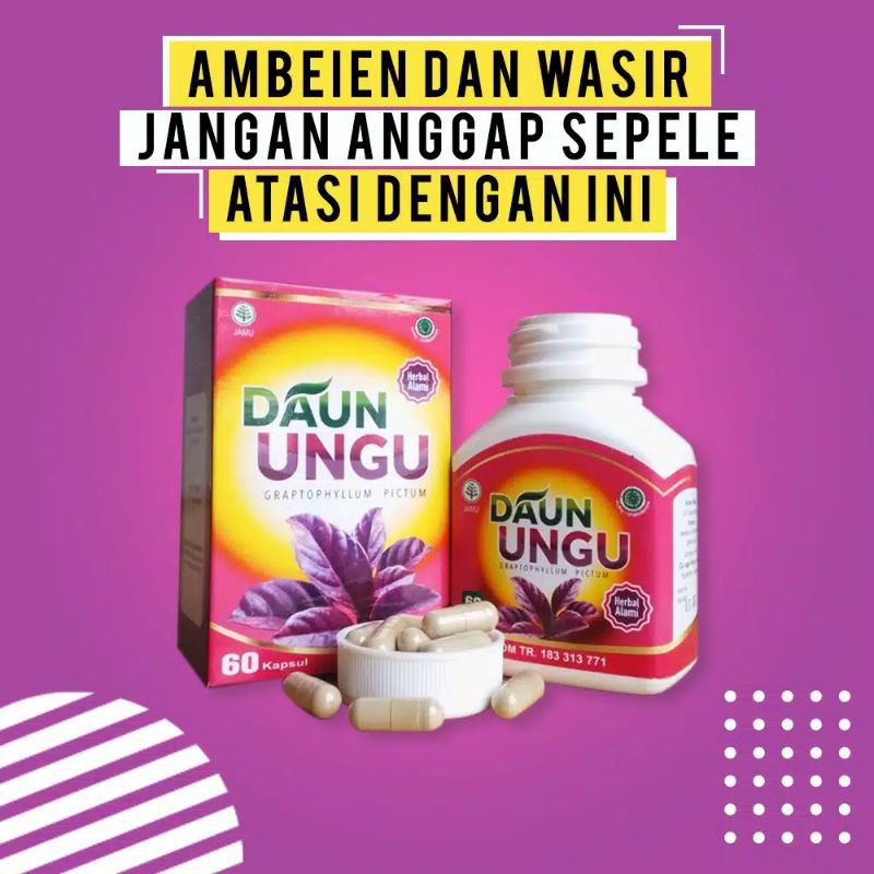 

daun ungu kapsul obat herbal ambeien wasir aman halal bpom terpercaya ambeyen