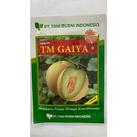 Benih Melon F1  TM GAIYA isi 500 bj dr Tani Murni Indonesia