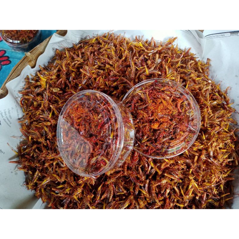 

Belalang goreng utis kecil berat tidak kurang dari 120gram