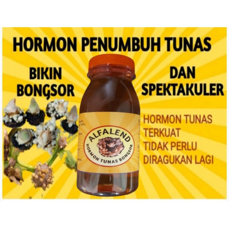 ZPT TUNAS BONGSOR hormon terkuat hasil formulasi pilihan auksin sitokinin giberelin dan 9 lainya sep