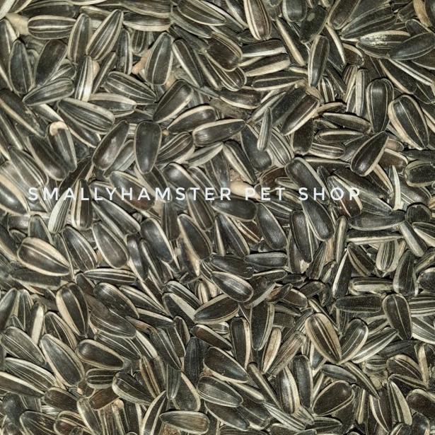 ♟ Kuaci hitam Hamster 1kg ➦