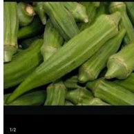 

Sayur Okra Okura Hijau Segar