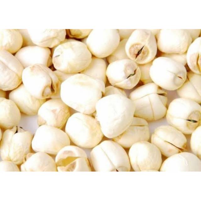 

Biji teratai / lotus seed / Lien ci 10 gr