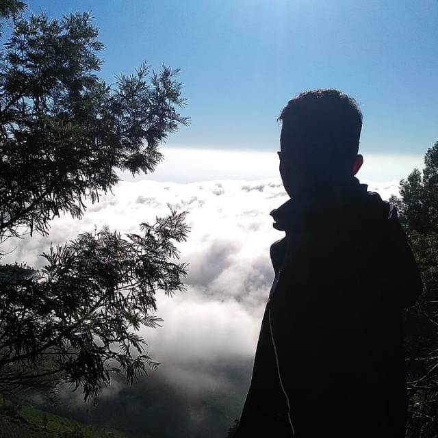 conveniencestorefarm