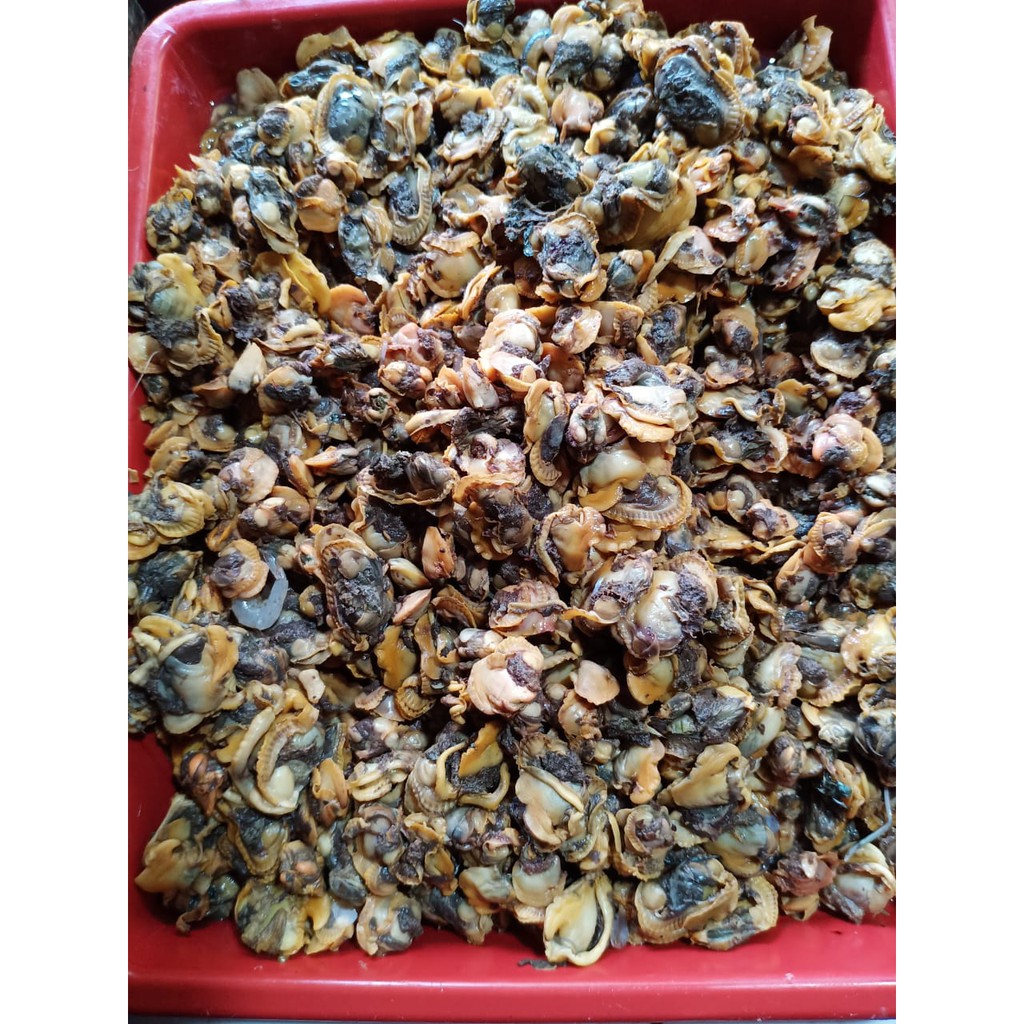 

Kerang Dara / 250gr / Kerang Bulet