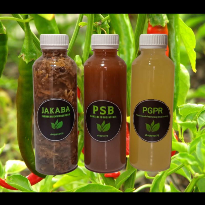 psb biang+jakaba biang+pgpr trio organik super