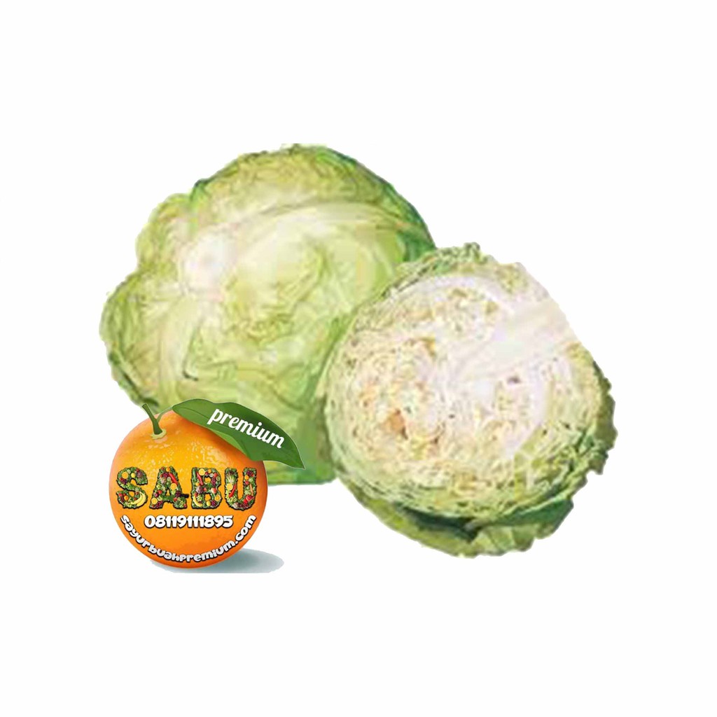 

Sayur Kol Segar
