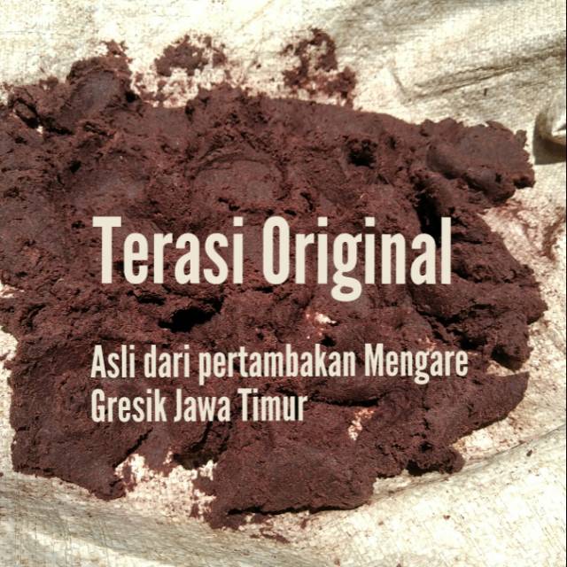 

Terasi Original (Asli dari Pertambakan)
