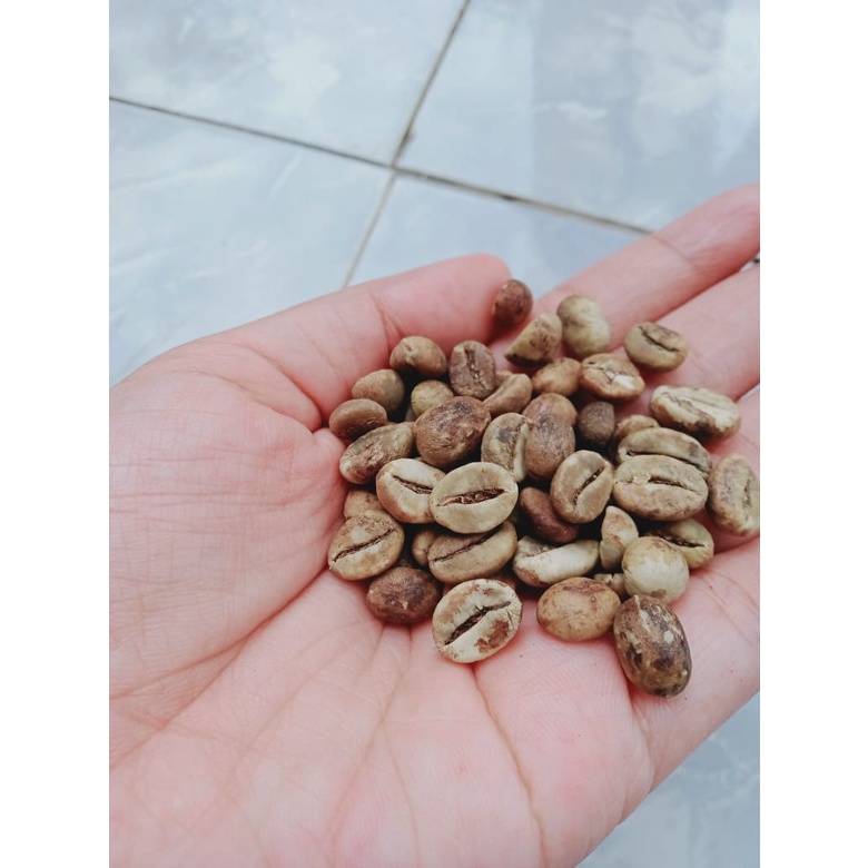 

Kopi FARASCHO