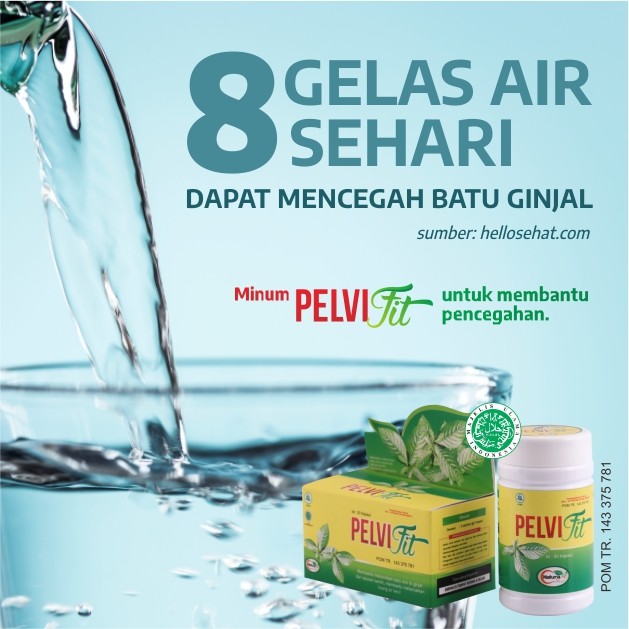 Pelvifit Pelvi Fit Obat Herbal Batu Ginjal, Batu Empedu, Batu Kandung Kemih, Merawat Ginjal, Sakit Pinggang