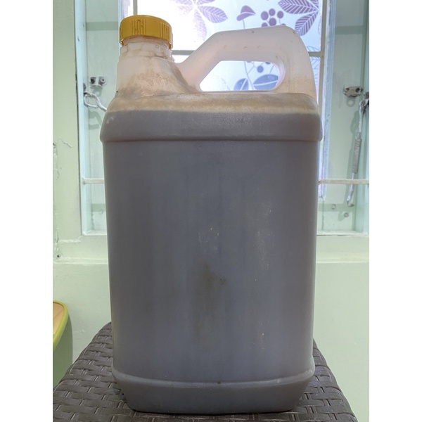 

Madu asli hutan pohon mahoni