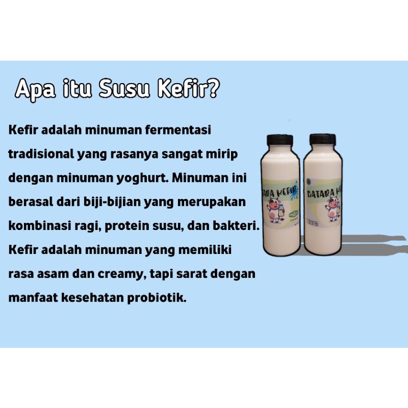 

Susu Kefir Sapi