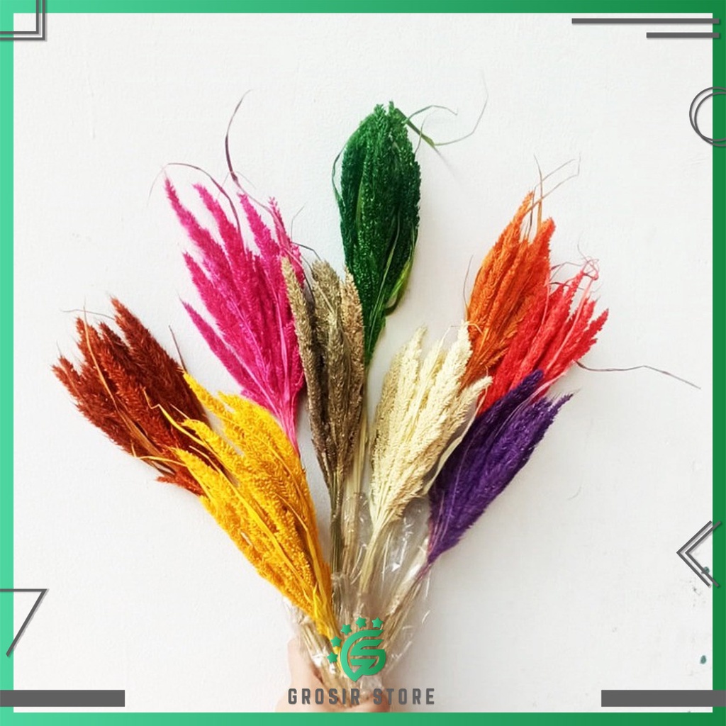 Grosir Store - DEKORASI - BUNGA JIWAN KERING - DRIED FLOWER JIWAN - BUNGA KERING