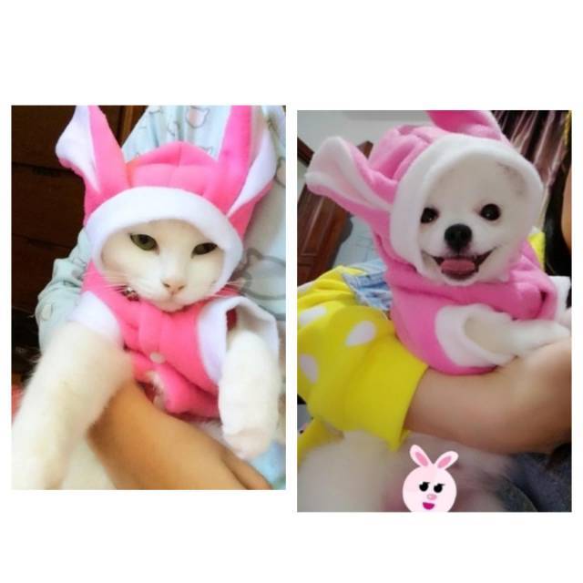 Baju hodie bunny lucu kucing kelinci anjing jaket hoodie