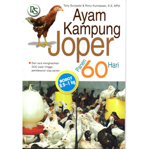 AYAM KAMPUNG JOPER PANEN 60 HARI