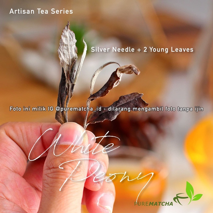 

TEH-DAUN- ARTISAN TEA CAFE - WHITE BEAUTY TEA TBW 10GR SAMPLE WHITE PEONY TEH -DAUN-TEH.