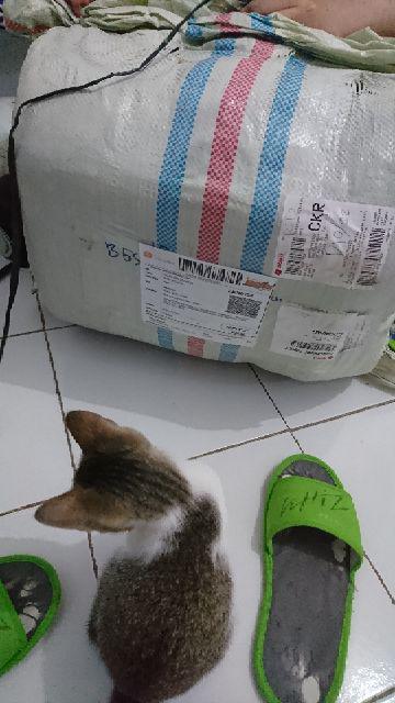 Inoac Kasur Lipat 4 Uk 200 X 80 X 15 Cm