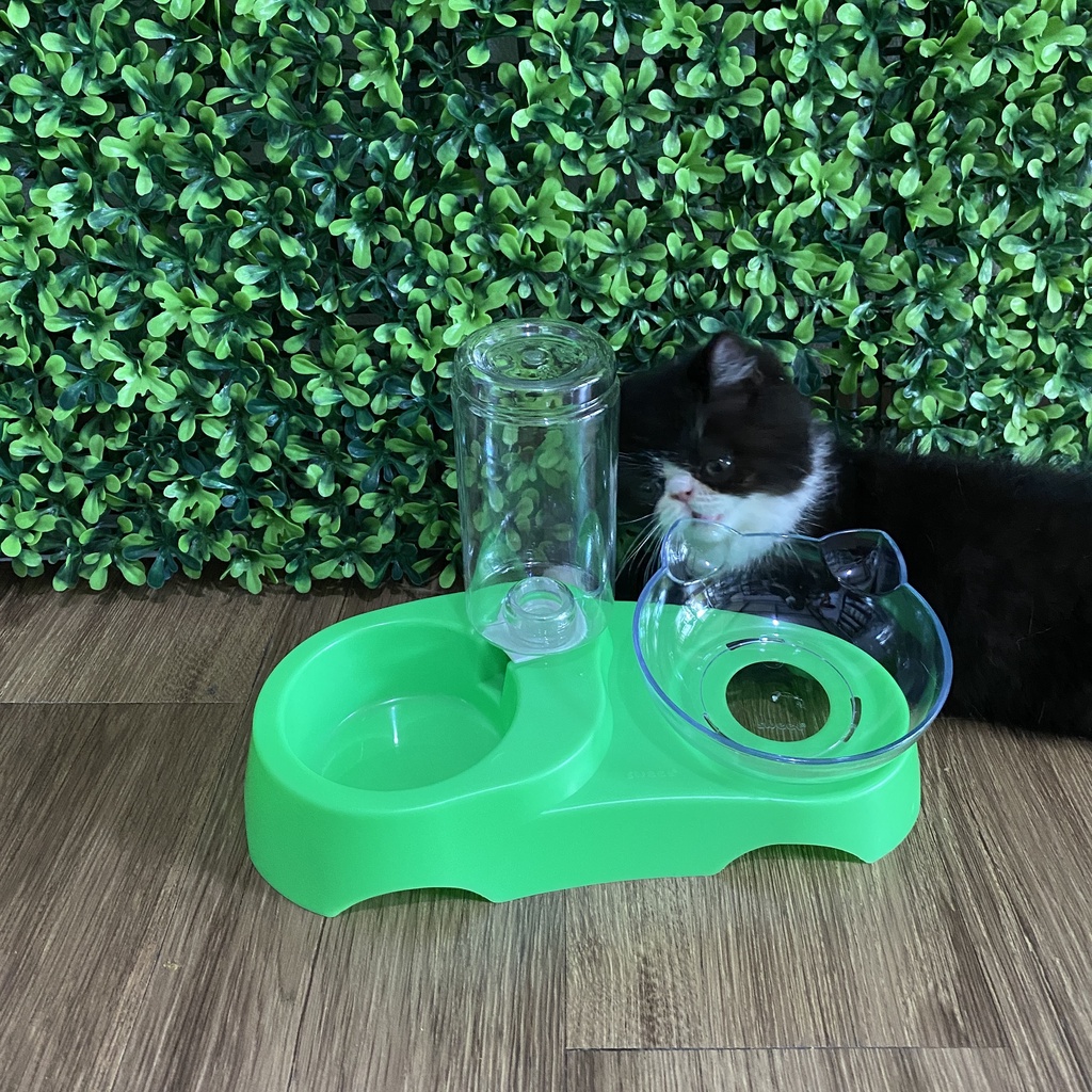 Pet Plate Mangkuk Tempat Makan dan Minum Kucing 350ml 2in1