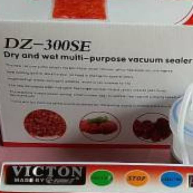 Vacuum , DZ-300/SE  , Vacum ,  Vakum , Sealer , mesin Vacum makanan, basah, kering, banyak, bakso,