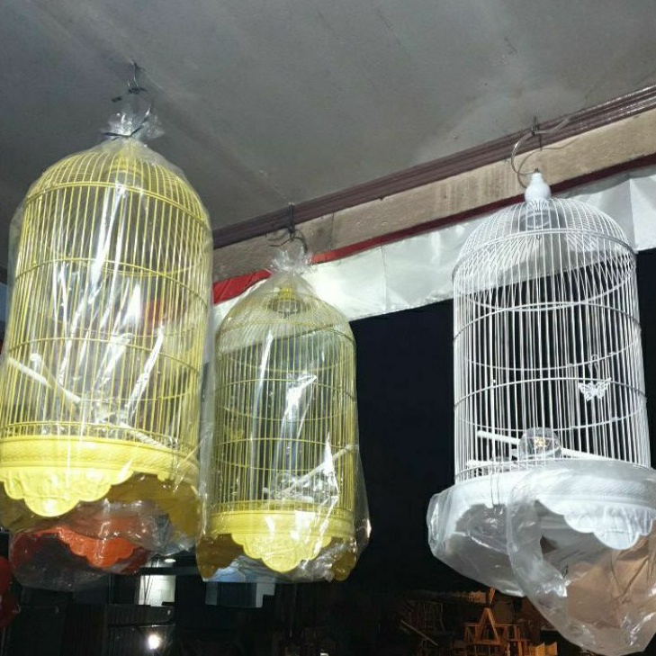 sangkar / kandang lovebird boom