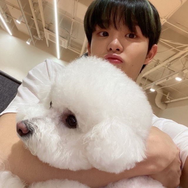 

+ freeong