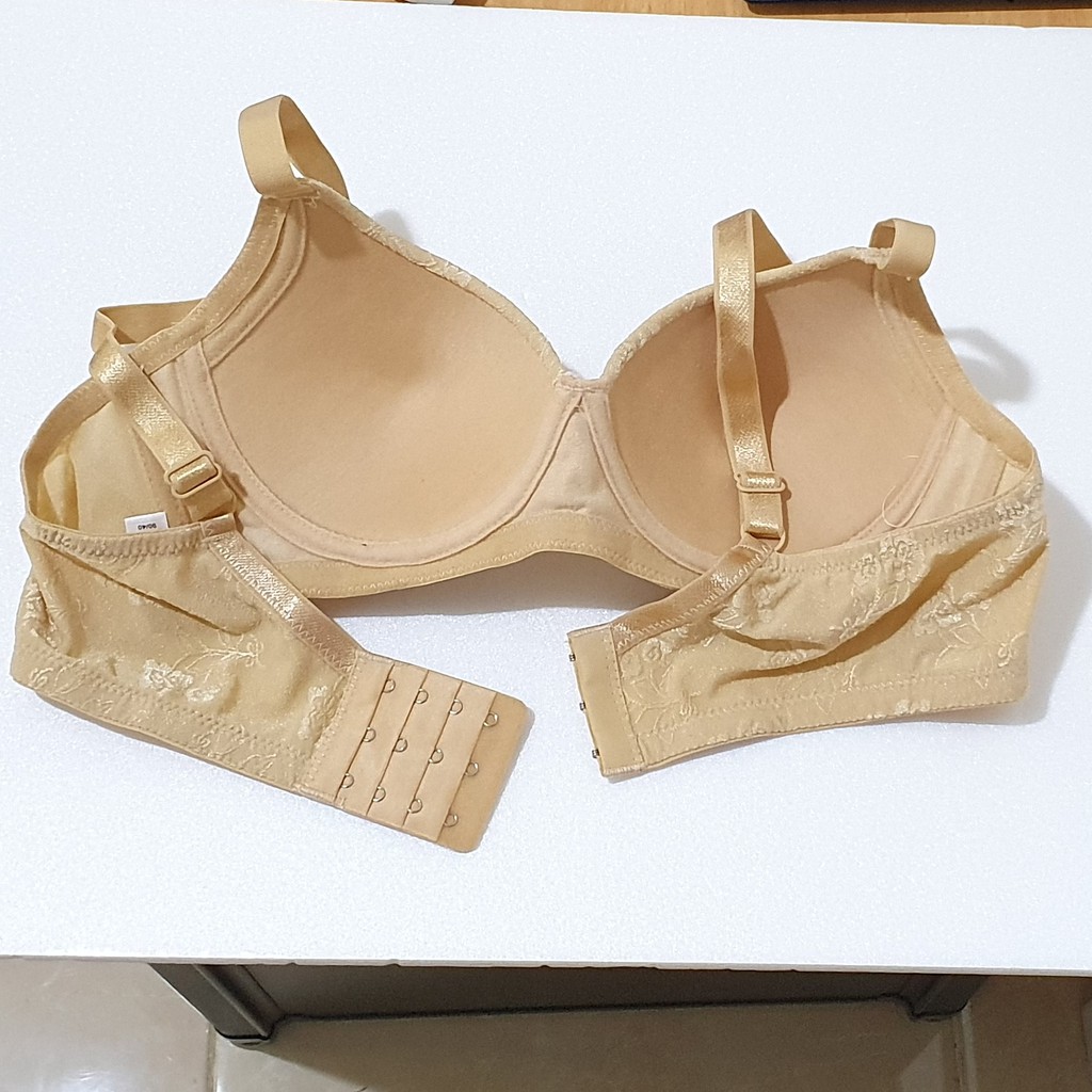 Bra / BH Elena 24100B (Busa Tipis, Tanpa Kawat, Cup B, Kait 3)