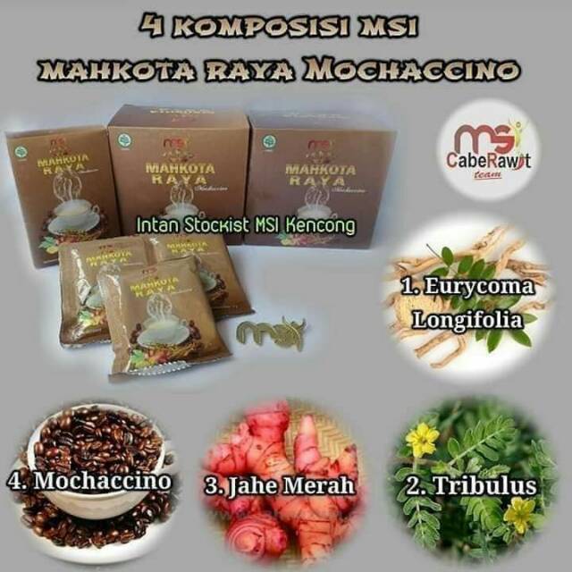 

KOPI MSI (MAHKOTA RAYA 3 SASET)