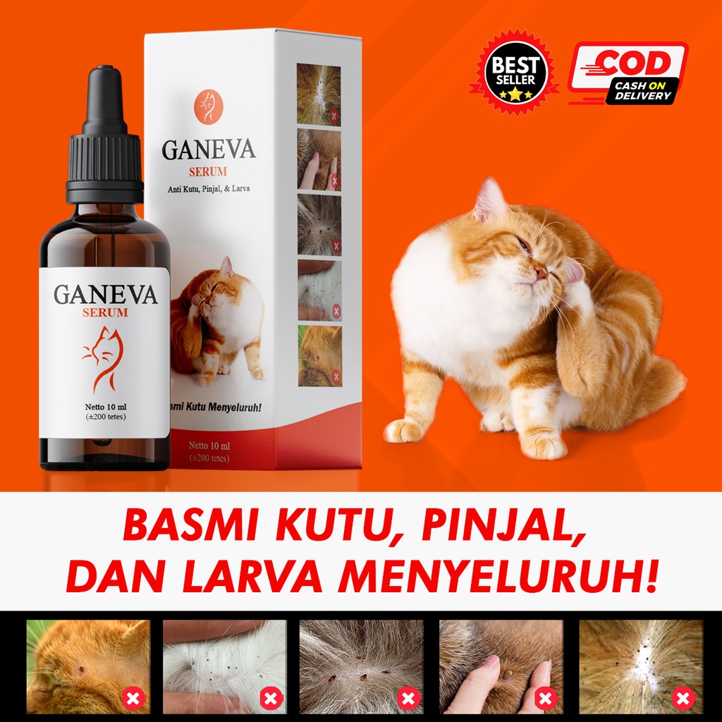Obat Anti Kutu Kucing (Ganeva Serum)
