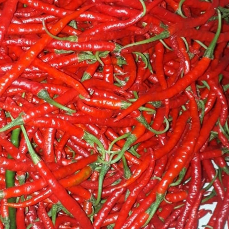 

CABE MERAH KERITING 200GRAM