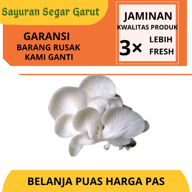 

Sayuran Jamur Tiram Putih Murah 200gr by Sayuran Segar Garut