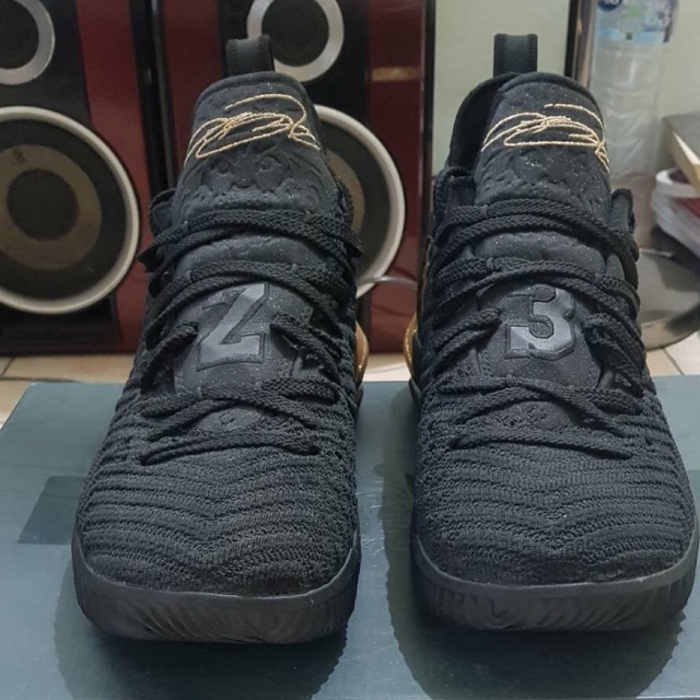 NIKE LEBRON XVI