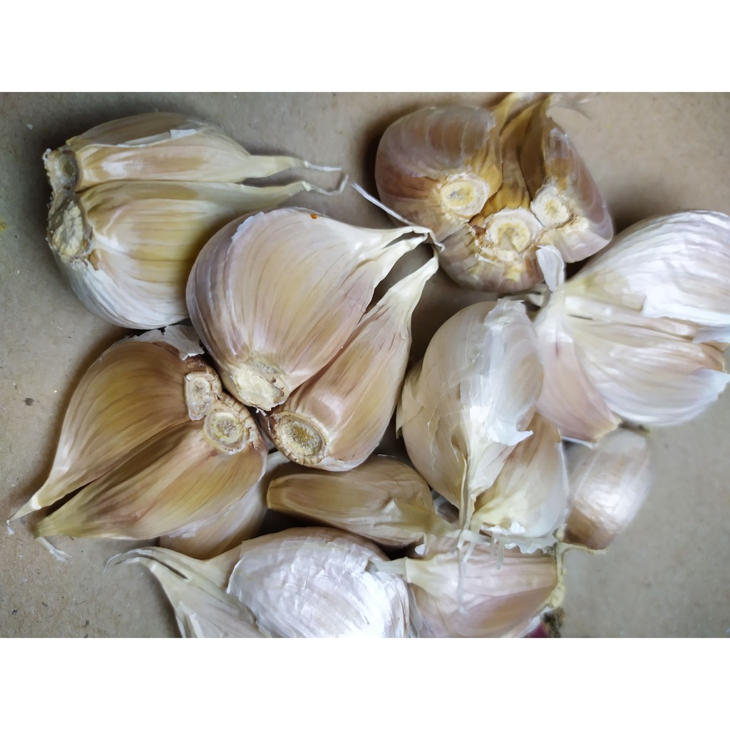 

Bawang Putih/ Bawang Merah 100 gram