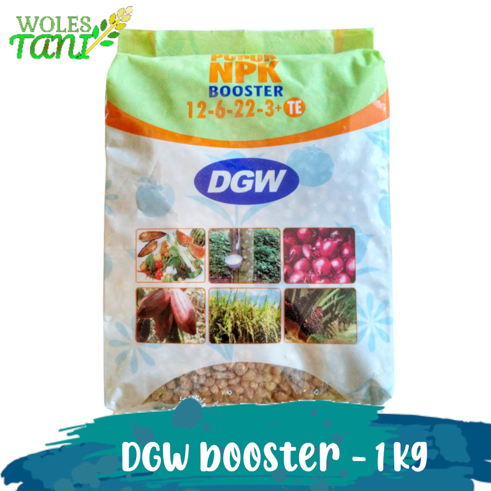 Dgw Booster Plus TE 1 Kg